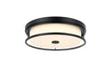 Elegant Lighting-LD305F16BK image