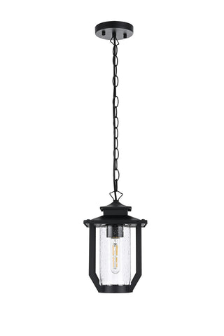 Sepviva Outdoor (Wet) Pendant by Elegant Lighting