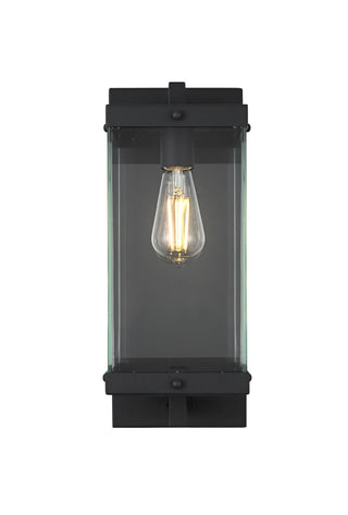 Buy black-and-clear-shade Julien Outdoor (Wet) Wall Lantern by Elegant Lighting