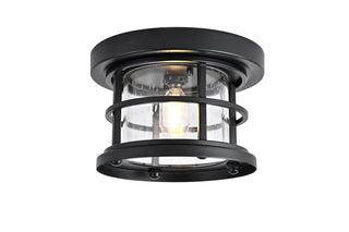 Buy black-with-seedy-glass-glass-and-clear-seedy-shade Carla Flush Mount Light by Elegant Lighting