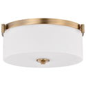 Liam Outdoor (Damp) Flush Mount Ceiling Light by Nuvo Lighting