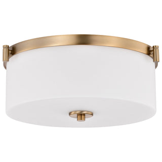 Liam Outdoor (Damp) Flush Mount Ceiling Light by Nuvo Lighting