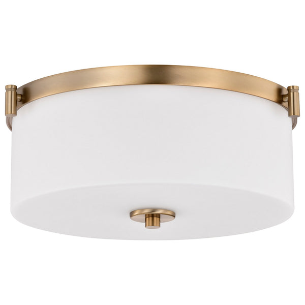 Liam Outdoor (Damp) Flush Mount Ceiling Light by Nuvo Lighting