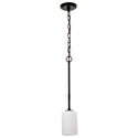 Liam Pendant by Nuvo Lighting