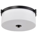 Liam Outdoor (Damp) Flush Mount Ceiling Light by Nuvo Lighting