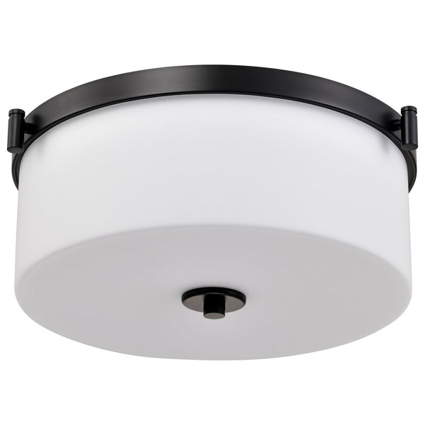 Liam Outdoor (Damp) Flush Mount Ceiling Light by Nuvo Lighting