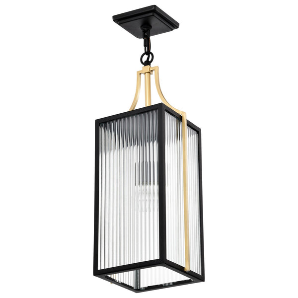 Holden Outdoor (Damp) Pendant by Nuvo Lighting