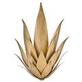 Agave Outdoor (Damp) Sconce by Fredrick Ramond