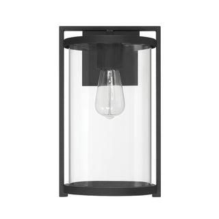 Buy matte-black-with-clear-glass-and-clear-shade Astwood Wall Lantern by Hunter