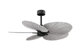 Buy matte-black-finish-with-barn-wood-tone-blades 5-Blades Alessandra TROPICAL Matthews Fan Company by Matthews Fan Company