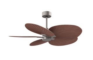 Buy brushed-nickel-finish-with-walnut-blades 5-Blades Alessandra TROPICAL Matthews Fan Company by Matthews Fan Company