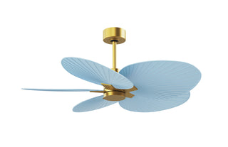 Buy brushed-brass-finish-with-light-blue-blades Alessandra TROPICAL Ceiling Fan by Matthews Fan Company