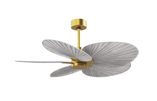 Buy brushed-brass-finish-with-barn-wood-tone-blades Alessandra TROPICAL Ceiling Fan by Matthews Fan Company