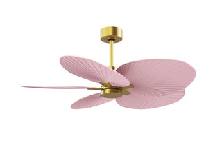 Buy brushed-brass-finish-with-light-pink-blades 5-Blades Alessandra TROPICAL Matthews Fan Company by Matthews Fan Company