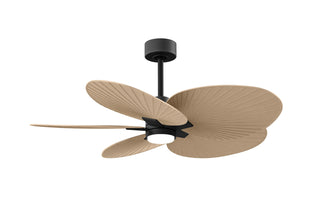 Buy matte-black-finish-with-light-maple-tone-blades 5-Blades Alessandra TROPICAL - LK Matthews Fan Company by Matthews Fan Company