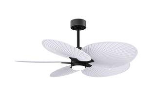 Buy matte-black-finish-with-matte-white-blades Alessandra TROPICAL - LK Ceiling Fan by Matthews Fan Company
