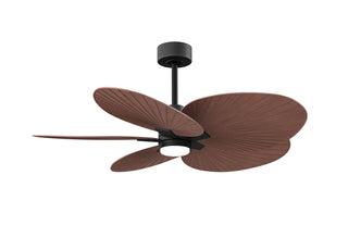 Buy matte-black-finish-with-walnut-tone-blades Alessandra TROPICAL - LK Ceiling Fan by Matthews Fan Company