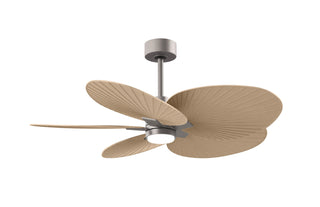 Buy brushed-nickel-finish-with-light-maple-tone-blades Alessandra TROPICAL - LK Ceiling Fan by Matthews Fan Company