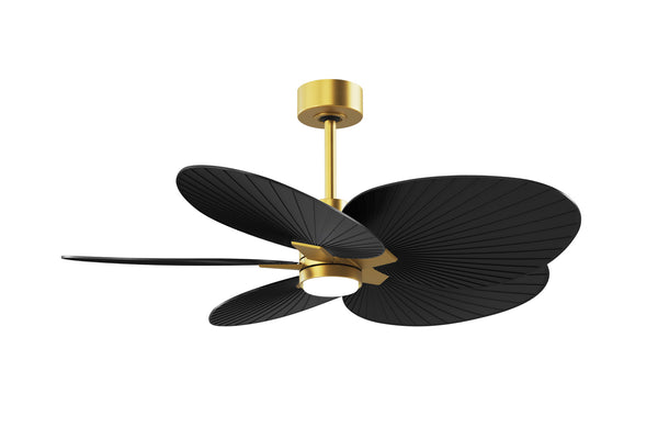 Alessandra TROPICAL - LK Ceiling Fan by Matthews Fan Company