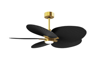 Buy brushed-brass-finish-with-matte-black-blades 5-Blades Alessandra TROPICAL - LK Matthews Fan Company by Matthews Fan Company