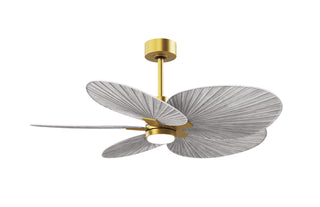 Buy brushed-brass-finish-with-barn-wood-tone-blades 5-Blades Alessandra TROPICAL - LK Matthews Fan Company by Matthews Fan Company