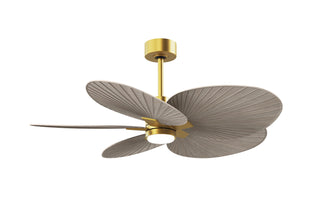 Buy brushed-brass-finish-with-gray-ash-tone-blades Alessandra TROPICAL - LK Ceiling Fan by Matthews Fan Company