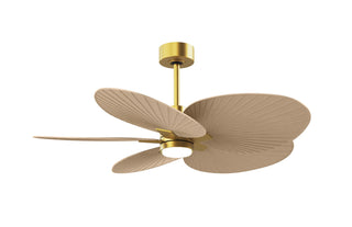 Buy brushed-brass-finish-with-light-maple-tone-blades Alessandra TROPICAL - LK Ceiling Fan by Matthews Fan Company