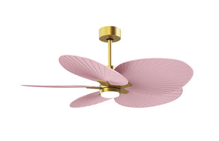 Buy brushed-brass-finish-with-light-pink-blades 5-Blades Alessandra TROPICAL - LK Matthews Fan Company by Matthews Fan Company