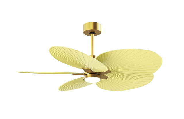 Alessandra TROPICAL - LK Ceiling Fan by Matthews Fan Company