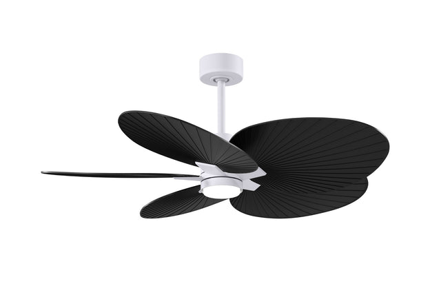 Alessandra TROPICAL - LK Ceiling Fan by Matthews Fan Company