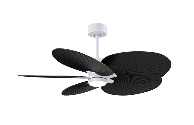 Matthews Fan Company-AKTPLK-MWH-BK|MAIN