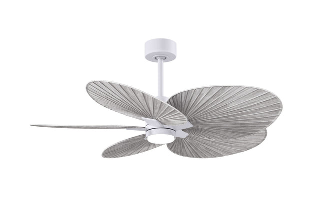 Alessandra TROPICAL - LK Ceiling Fan by Matthews Fan Company