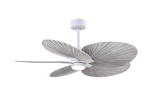 Buy matte-white-finish-with-barn-wood-tone-blades Alessandra TROPICAL - LK Ceiling Fan by Matthews Fan Company