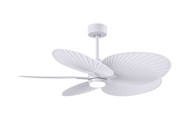 Alessandra TROPICAL - LK Ceiling Fan by Matthews Fan Company