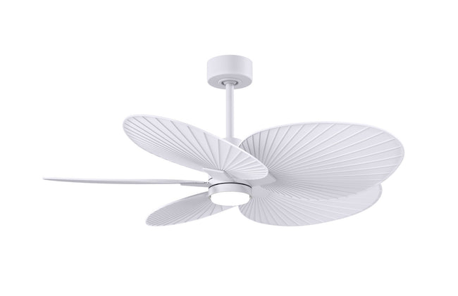Matthews Fan Company-AKTPLK-MWH-MWH|MAIN