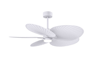 Buy matte-white-finish-with-matte-white-blades Alessandra TROPICAL - LK Ceiling Fan by Matthews Fan Company