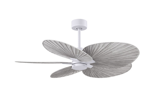 Alessandra TROPICAL Ceiling Fan by Matthews Fan Company