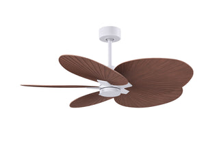 Buy matte-white-finish-with-walnut-tone-blades 5-Blades Alessandra TROPICAL Matthews Fan Company by Matthews Fan Company