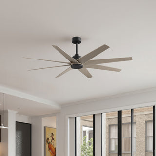Buy matte-black-finish-with-gray-ash-tone-blades Ariella Ceiling Fan by Matthews Fan Company