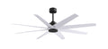 Ariella Ceiling Fan by Matthews Fan Company