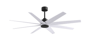 Buy matte-black-finish-with-matte-white-blades Ariella Ceiling Fan by Matthews Fan Company