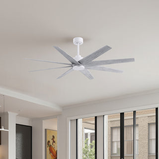 Buy matte-white-finish-with-barn-wood-tone-blades 8-Blades Ariella Matthews Fan Company by Matthews Fan Company