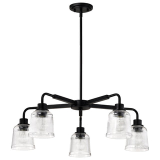 Buy matte-black-with-clear-ribbed-glass-and-clear-textured-shade Grayson Chandelier by Nuvo Lighting