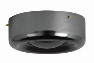 Eldred Outdoor (Damp) Flush Mount Ceiling Light by Hudson Valley