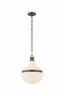 Barryville Outdoor (Damp) Pendant by Hudson Valley