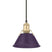 Brushed Champagne Brass with Exotic Purple Glass and Purple Shade