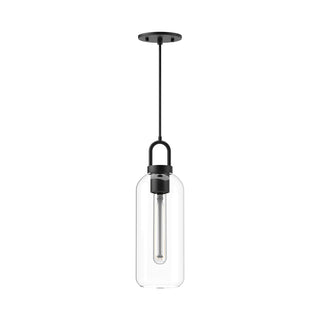 Buy clear-glass-matte-black-and-clear-shade Soji Pendant by Alora