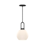 Alora-PD601608MBOP|MAIN