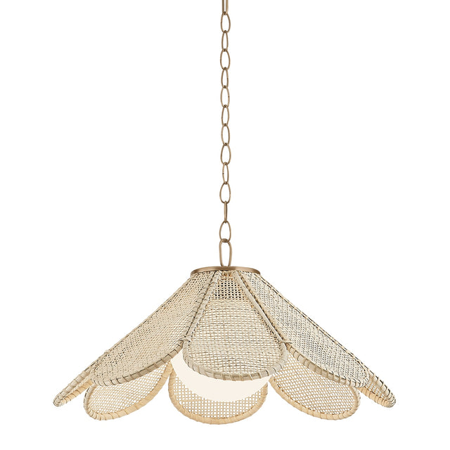 Petal Outdoor (Damp) Pendant by Troy Lighting