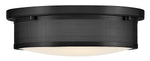 Hinkley-48561BK|ALT|2